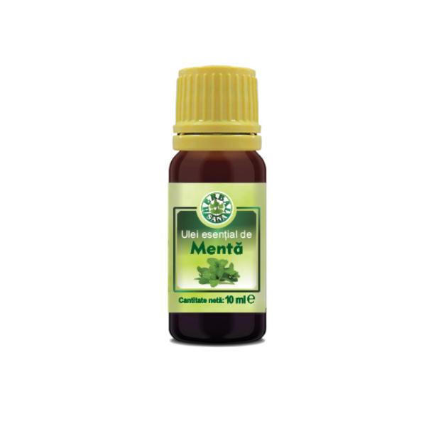 Ulei esential de menta, 10 ml - Herbal Sana