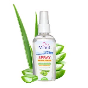 Gel Spray Antibacterian cu Aloe Vera, Biocid, 80 ml - Minut