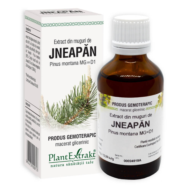 Extract din muguri de jneapan, 50 ml - PlantExtrakt