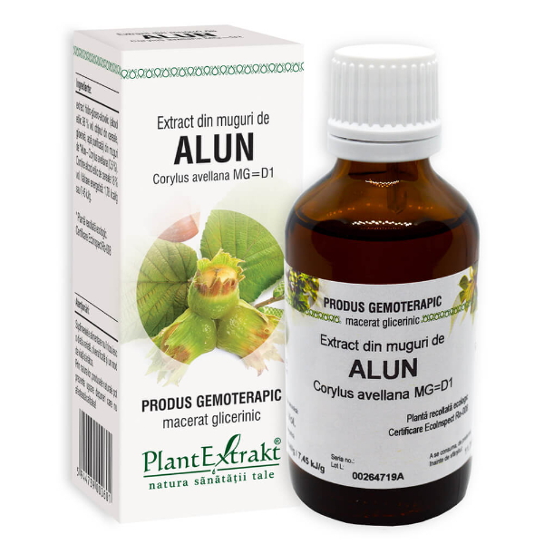 Extract din muguri de alun - Corylus avellana, 50 ml - PlantExtrakt