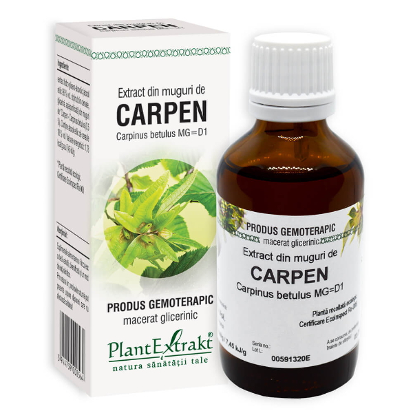 Extract din muguri de carpen - Carpinus betulus, 50 ml - PlantExtrakt