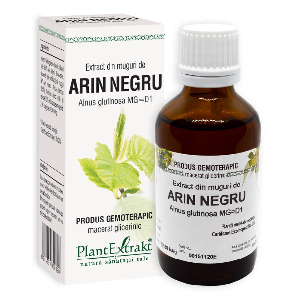 Extract din muguri de arin negru, 50 ml - PlantExtrakt