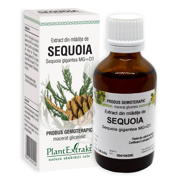 Extract din mladite de sequoia, 50 ml - PlantExtrakt