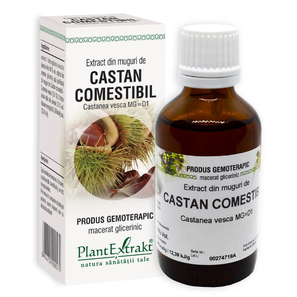 Extract din muguri de castan comestibil - Castanea vesca, 50 ml - PlantExtrakt