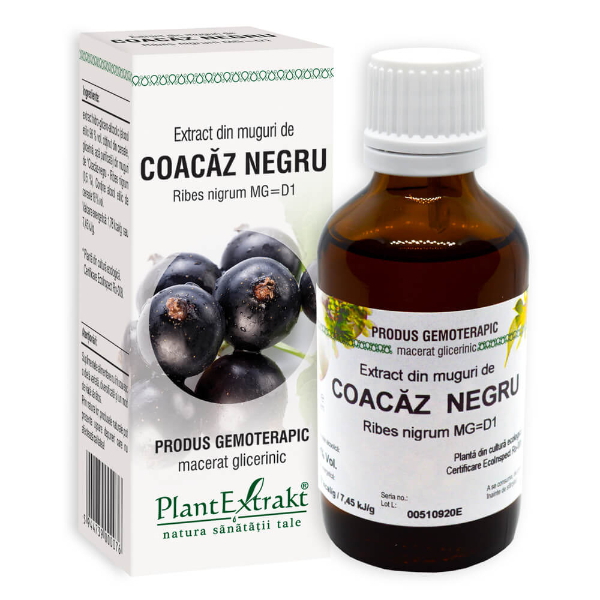 Extract din muguri de coacaz negru - Ribes nigrum, 50 ml - PlantExtrakt