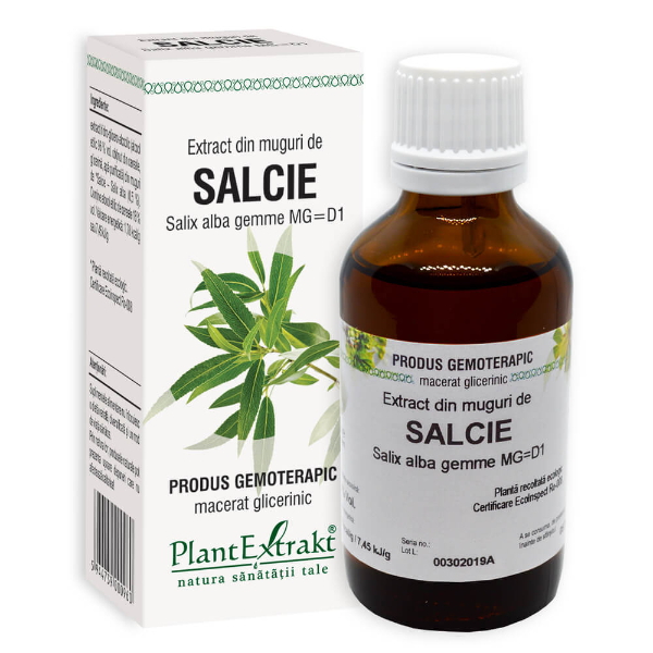 Extract din muguri de salcie - Salix alba, 50 ml - PlantExtrakt
